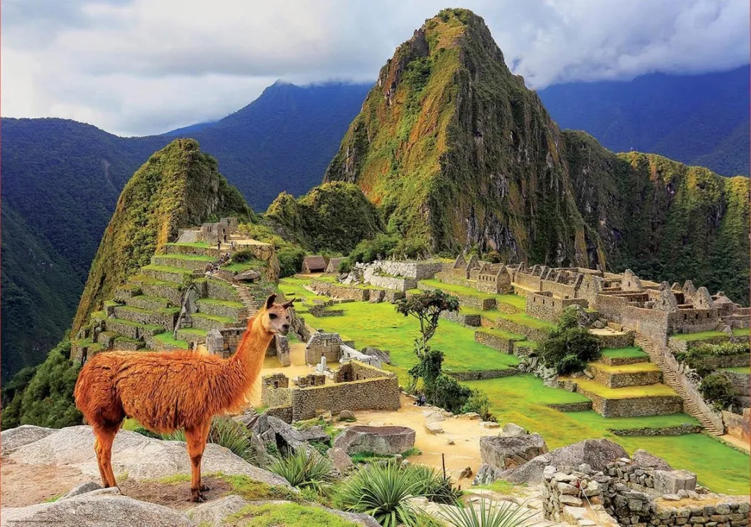 Educa Machu Picchu Puzzel 1000 Stuks