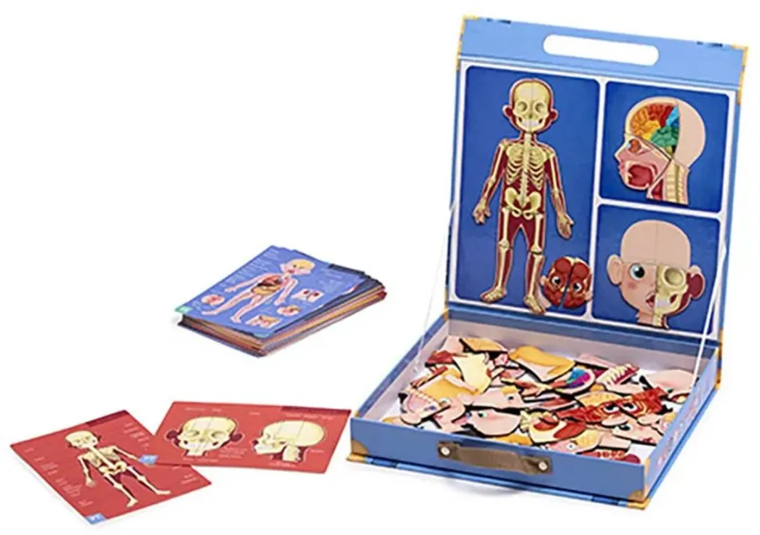 Eurekakids Human Body Leerkoffer - 26 Magneten - 4 Spelers