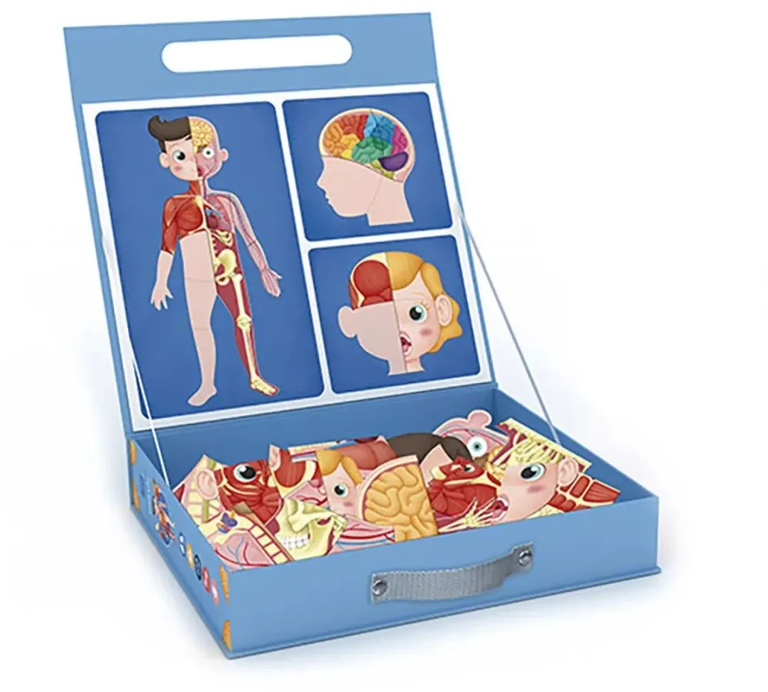 Eurekakids Human Body Leerkoffer - 26 Magneten - 4 Spelers - afbeelding 6 van 6