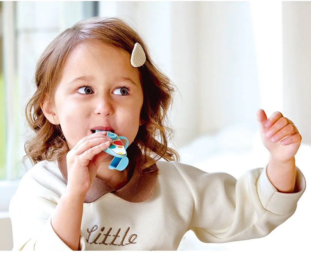 Hape Pocket Kazoo Set