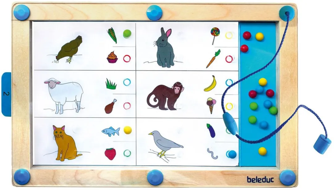 Beleduc Logiplay Puzzel - 19 Stuks - Multicolor - afbeelding 6 van 6