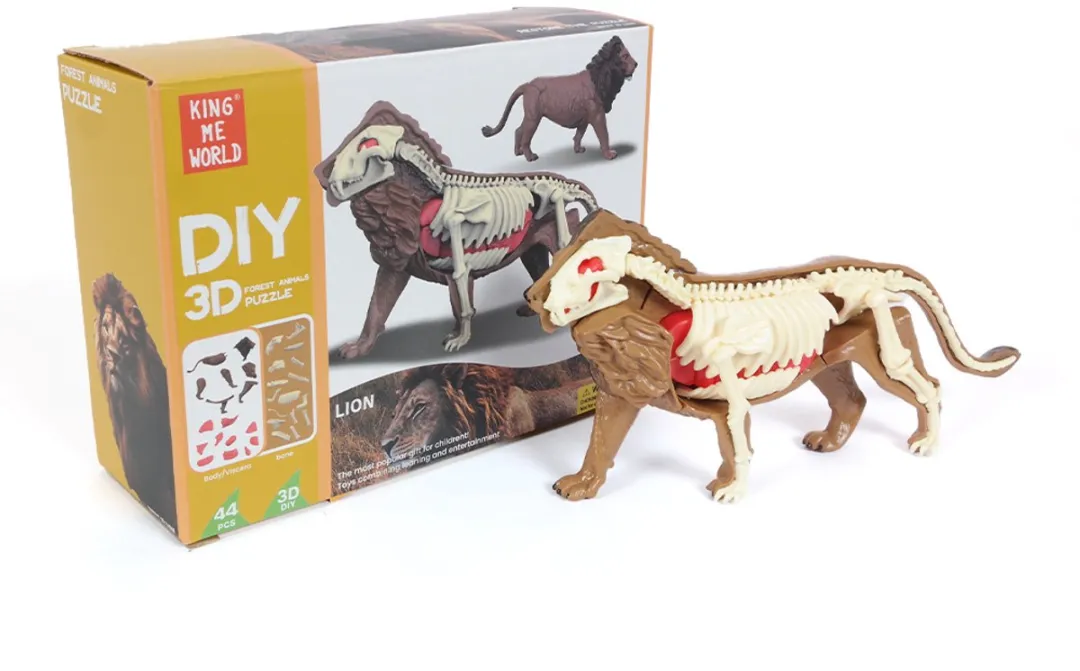 PIA Soft Toys 3D Anatomie Leeuw