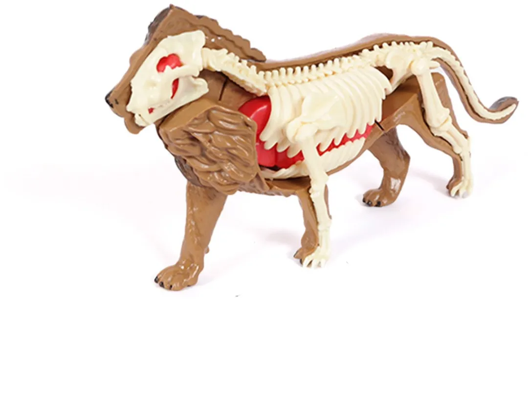 PIA Soft Toys 3D Anatomie Leeuw - Bruin/Rood/Wit