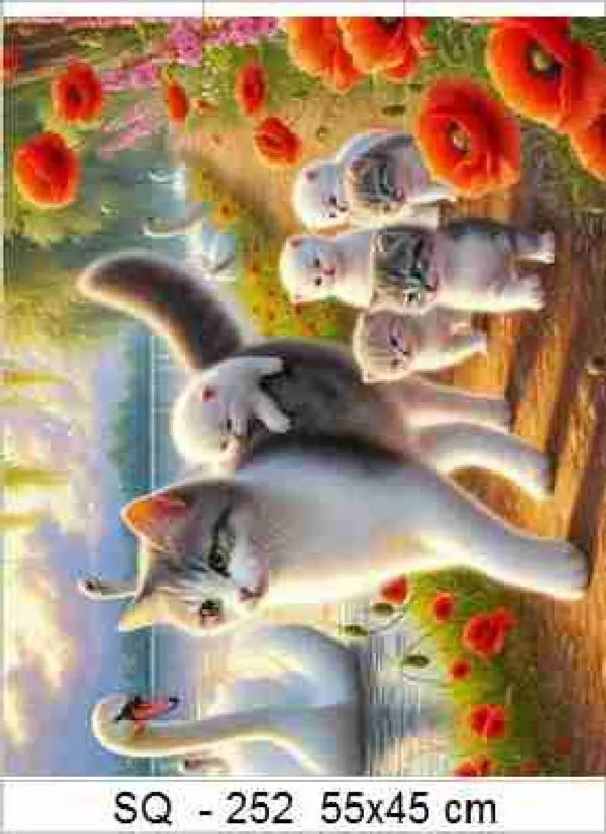 VDTOYS DIAMOND PAINTING VDTD252 KATTEN - 45x45cm - Full