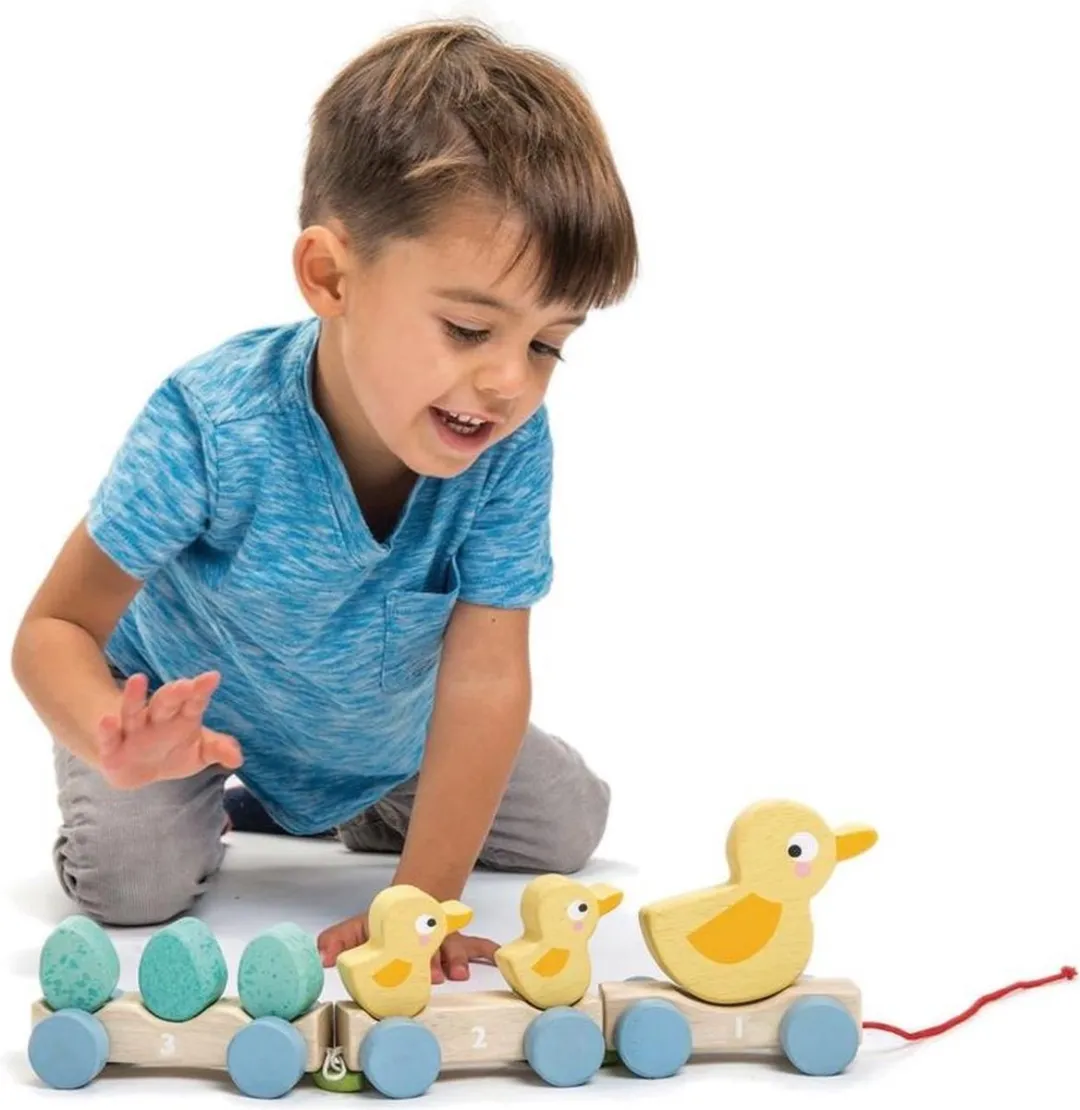 Tender Toys Houten Eenden Trein - Multicolor