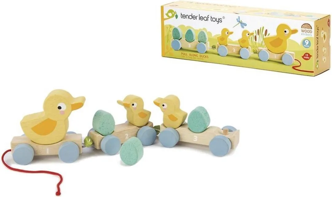 Tender Toys Houten Eenden Trein