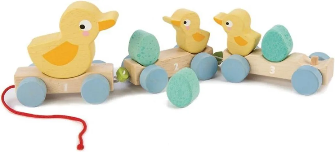 Tender Toys Houten Eenden Trein - Multicolor