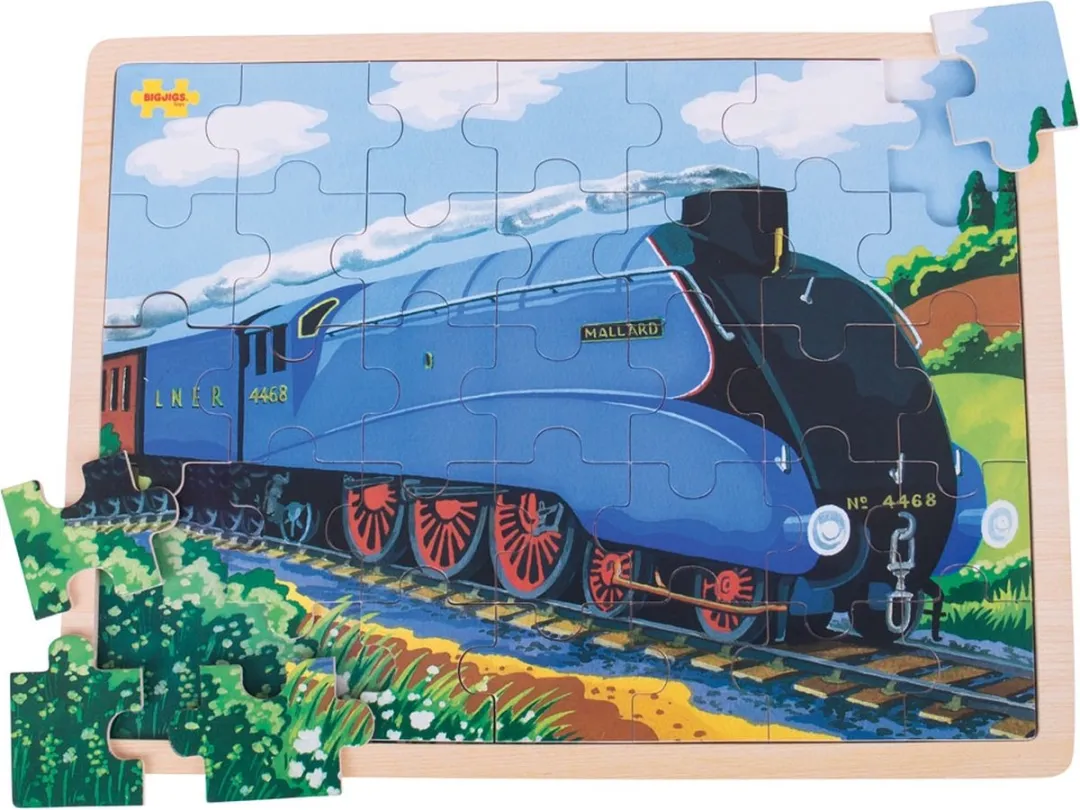 Bigjigs Mallard Puzzle 35 Stuks - Multicolor