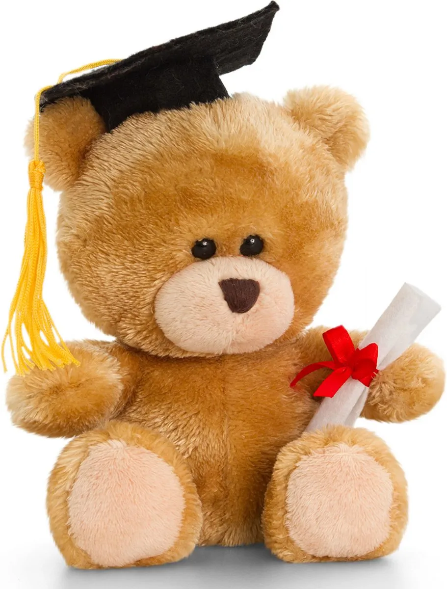 Keel Toys Gefeliciteerd Wenskaart A5 - Geslaagd Knuffelbeer 14cm - Multi