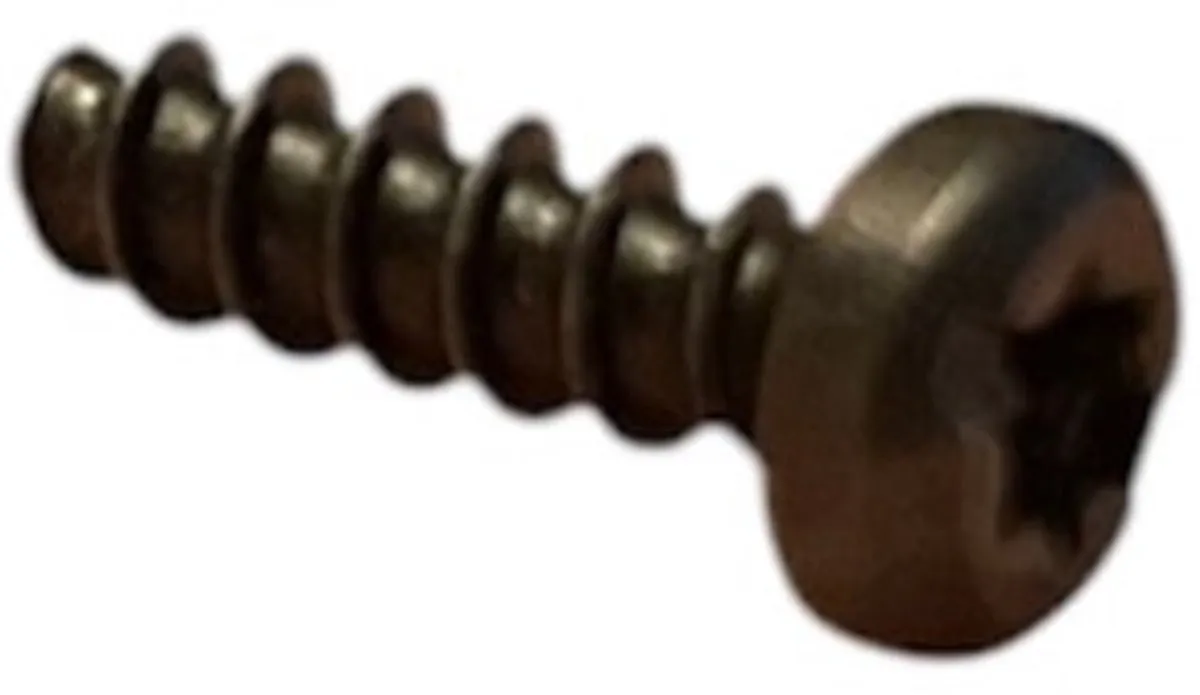 Bosch Schroef Torx 3x10mm