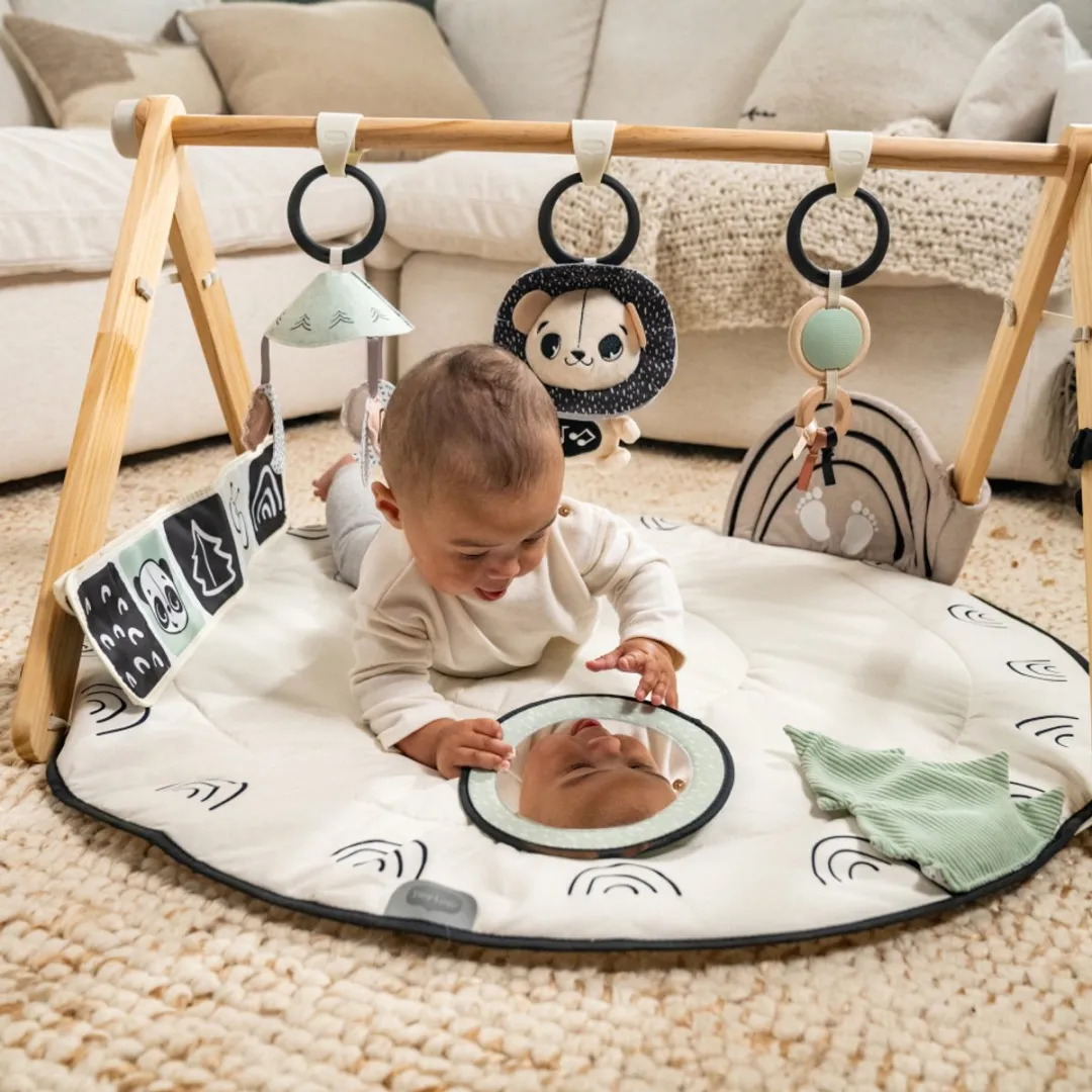 Tiny Love Luxe Gymini - 20 Speelelementen - 3x AAA