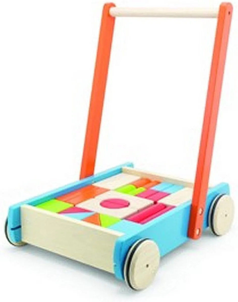 Pintoy Baby Walker Duwwagen