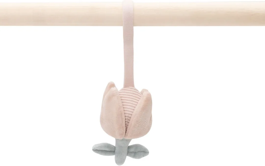 Jollein Babygym Speeltjes Lovely Birds