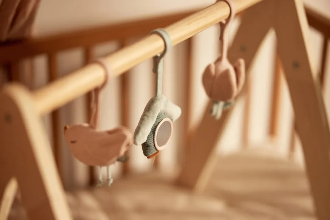 Jollein Babygym Speeltjes Lovely Birds