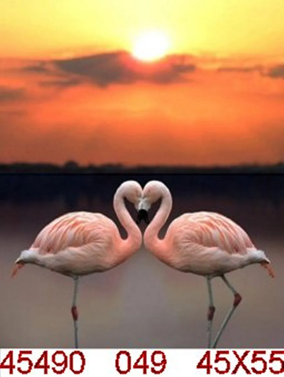 VDTOYS Diamond Painting VDT049 Flamingo 2 - 45x55cm