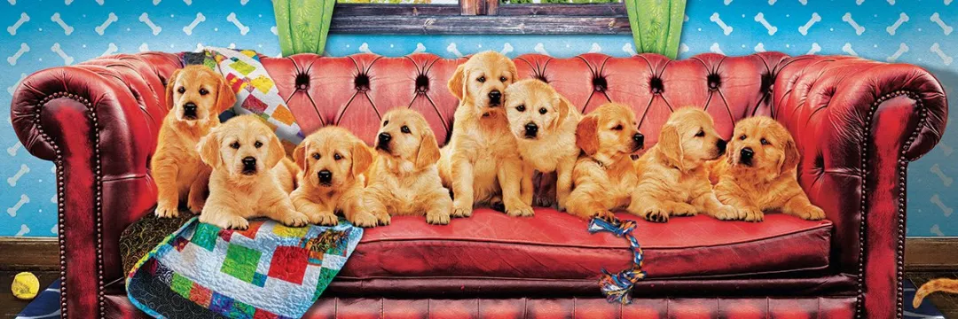 Eurographics Lounging Labs Puzzel 1000 Stuks