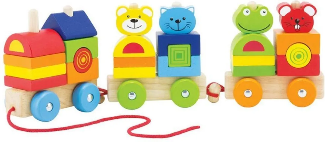 Pintoy Four Friends Bouwtrein P11505