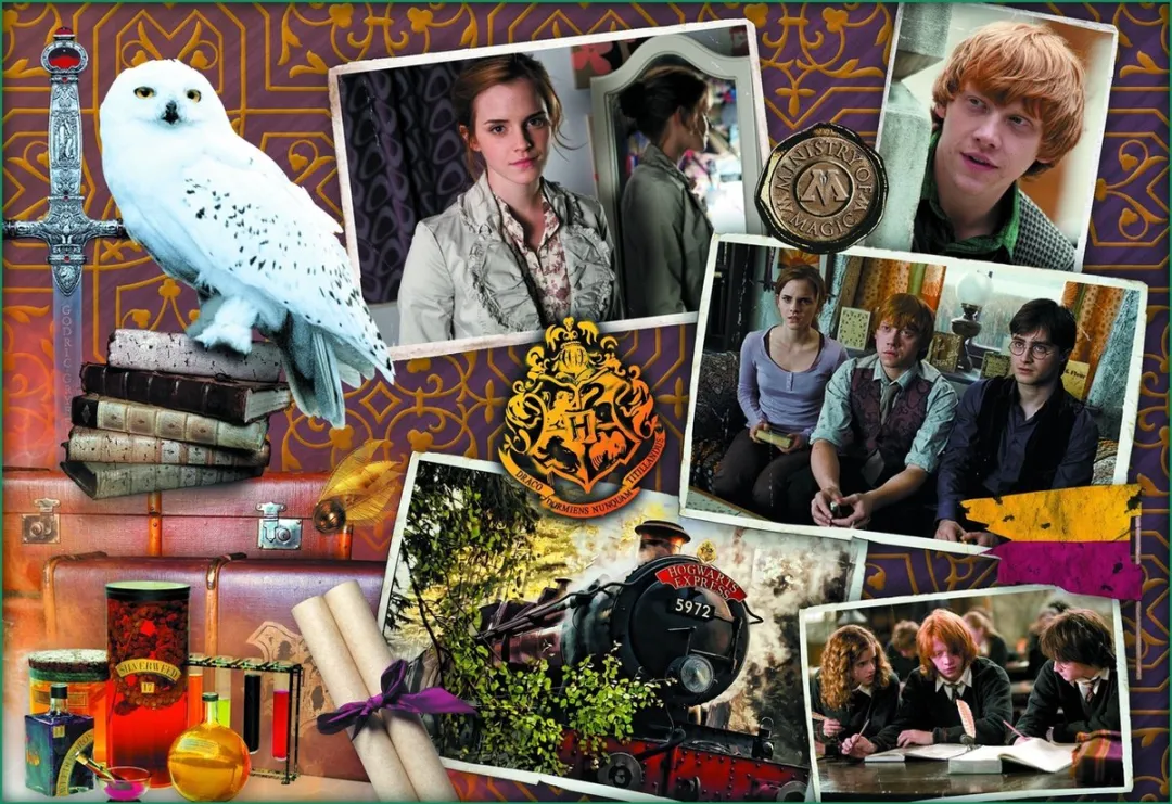 Trefl Harry Potter 10-in-1 Puzzel - 48 Stuks