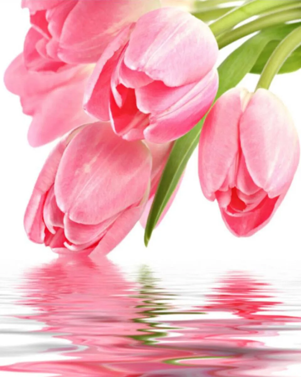 VDTOYS Diamond Painting VDT024 Tulip