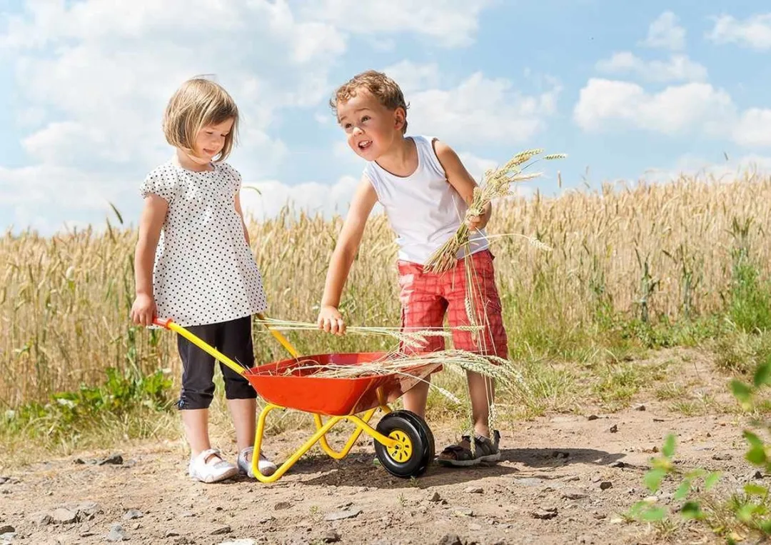 Kindertuingereedschapset met kruiwagen van metaal - Rood (5 dlg.)