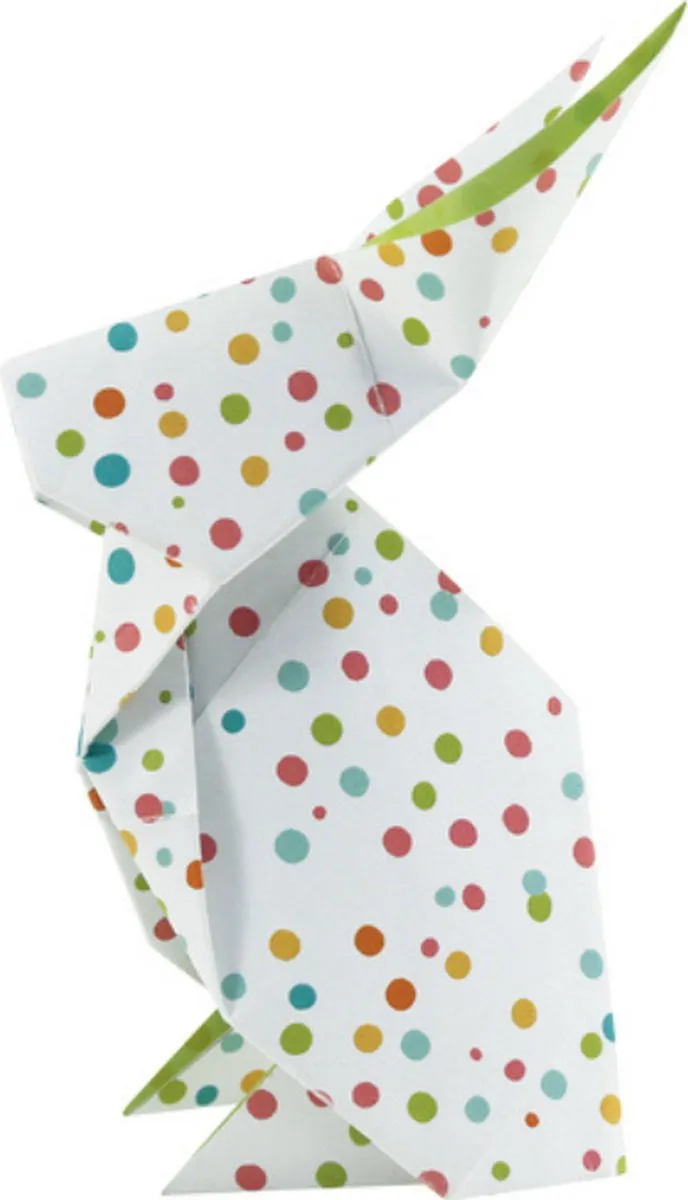 Clairefontaine Origami Papier Spring - 60 Vel 70g 20x20cm - Multicolor