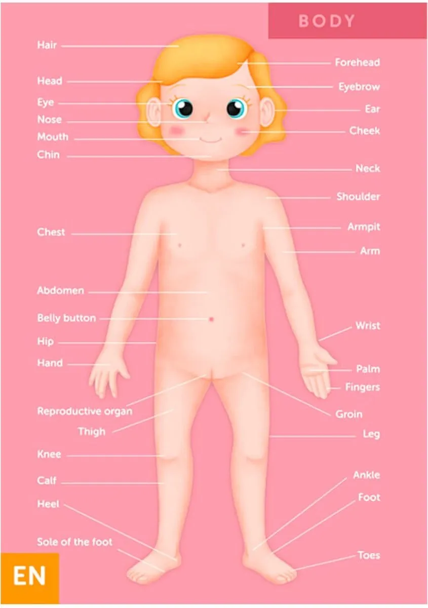 Eurekakids Body Puzzel 100 Stuks - Menselijk Lichaam - Multi