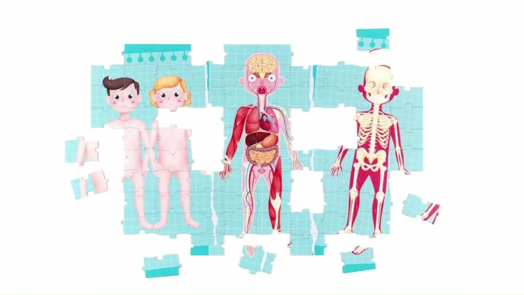 Eurekakids Body Puzzel 100 Stuks - Menselijk Lichaam - Multi