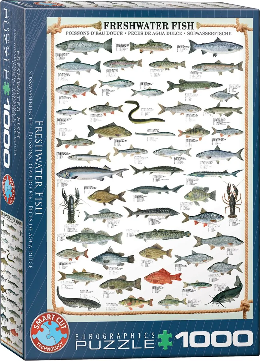 Eurographics Legpuzzel Vissen 1000 Stuks