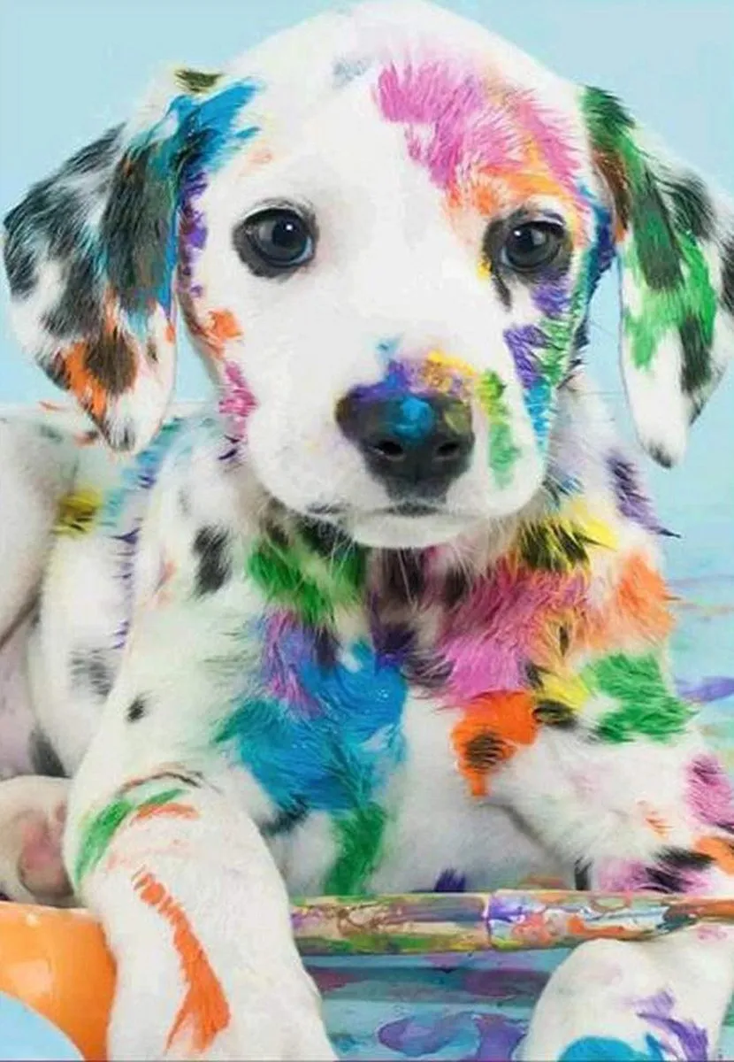 VDTOYS Diamond Painting VDTA099