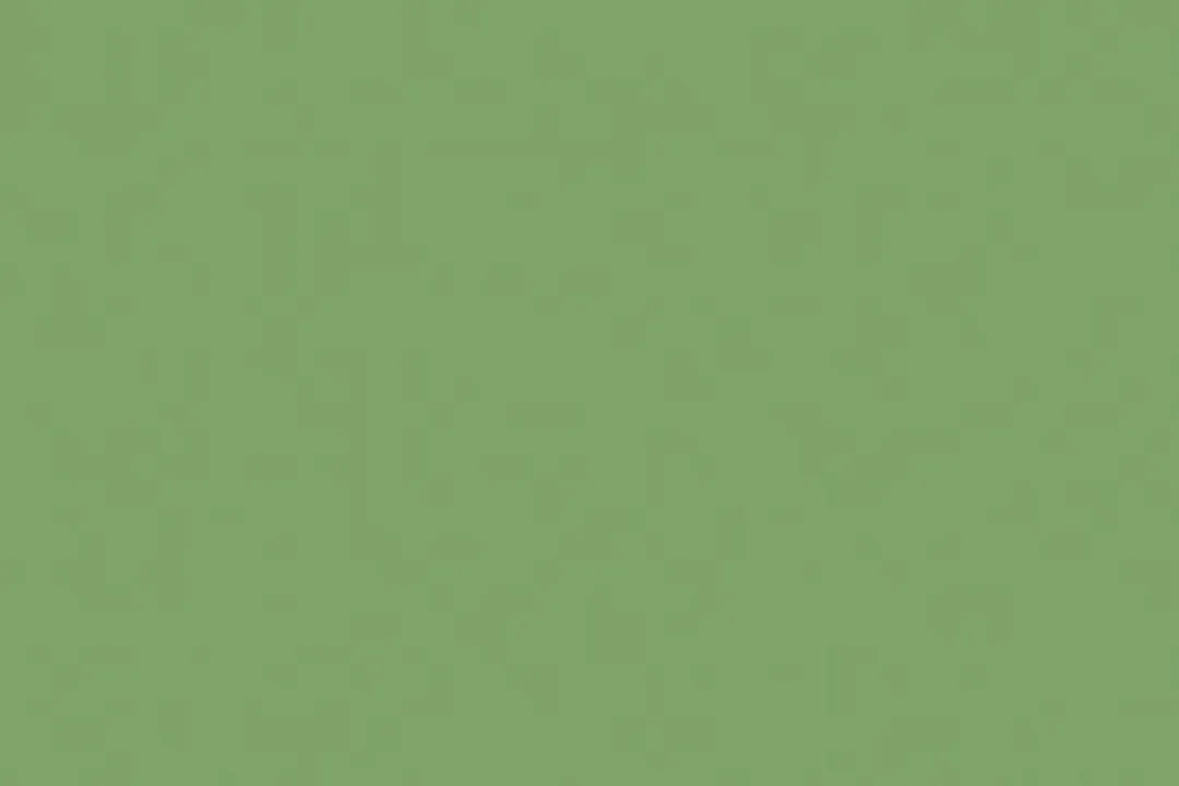 Folia Fotokarton 50x70cm 300gr - Appelgroen - 25 Vel