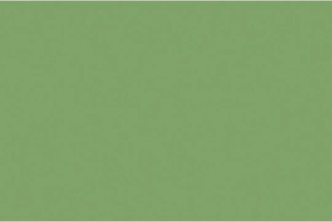Folia Fotokarton 50x70cm 300gr - Appelgroen - 25 Vel