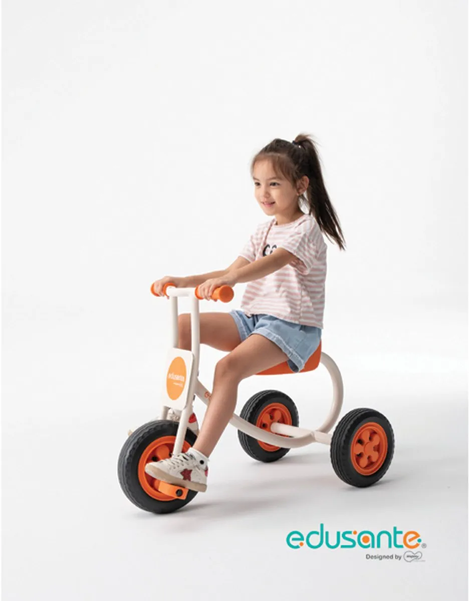 Eduplay Driewieler Edusante EM5501 - Multicolor