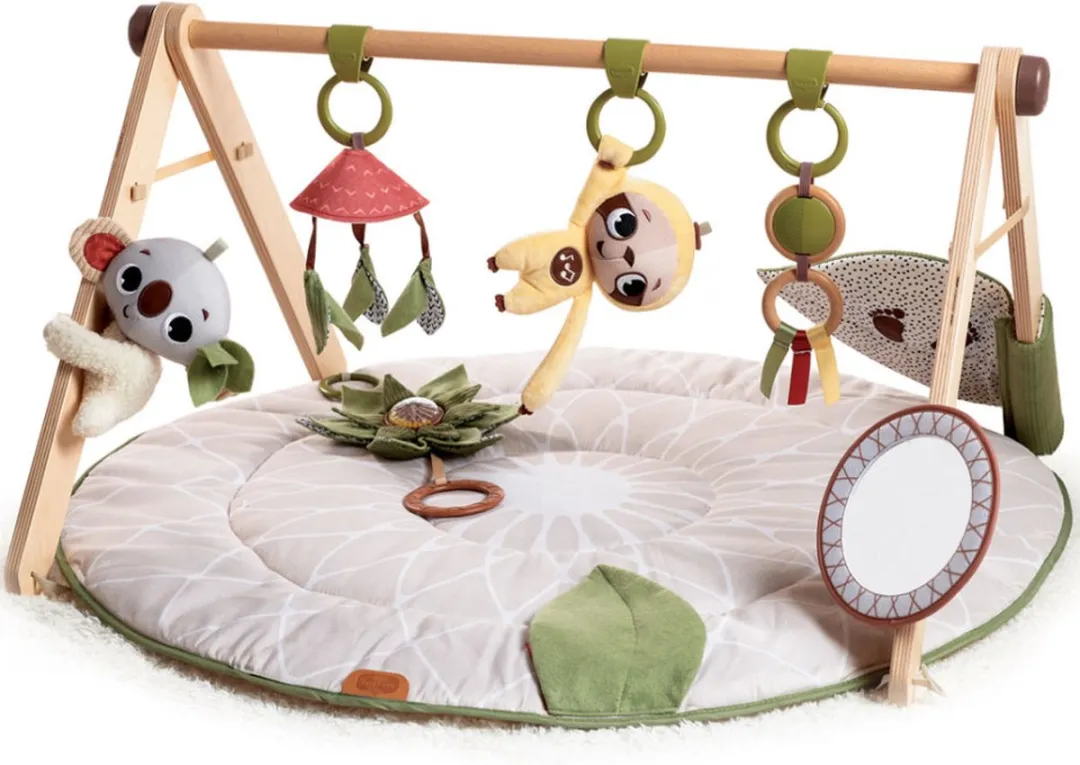 Tiny Love Boho Chic Luxe Developmental Gymini Speelkleed