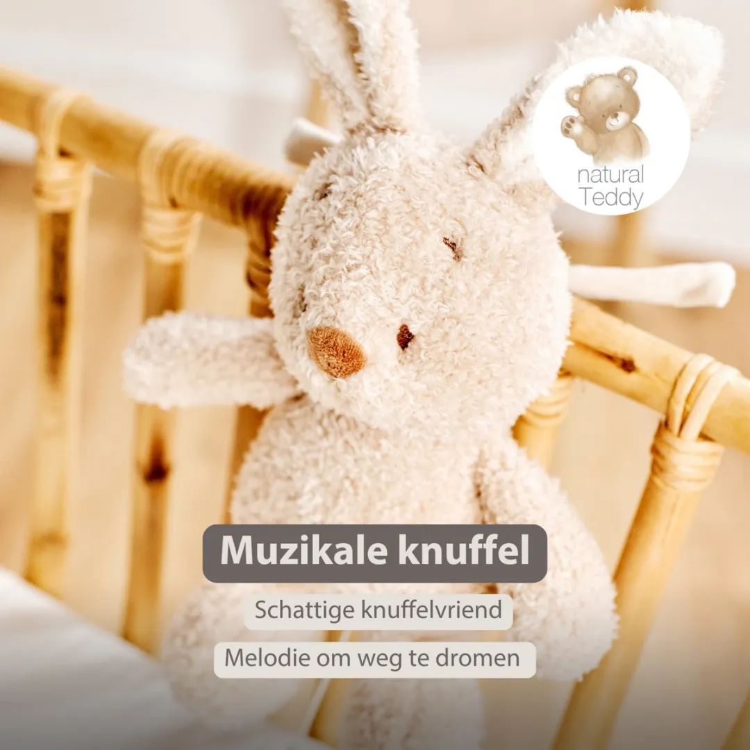 Nattou Teddy Muziekknuffel Konijn 25cm - Beige