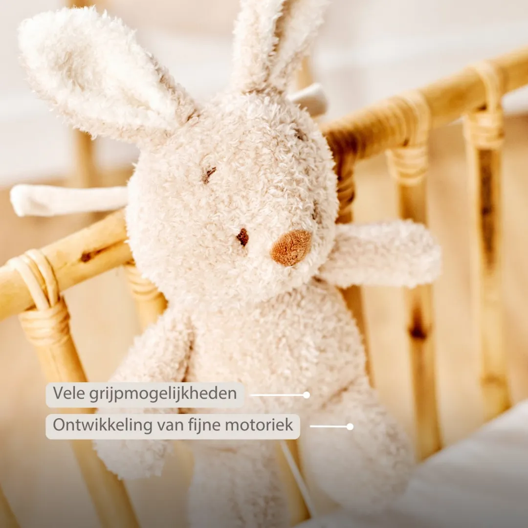 Nattou Teddy Muziekknuffel Konijn 25cm - Beige
