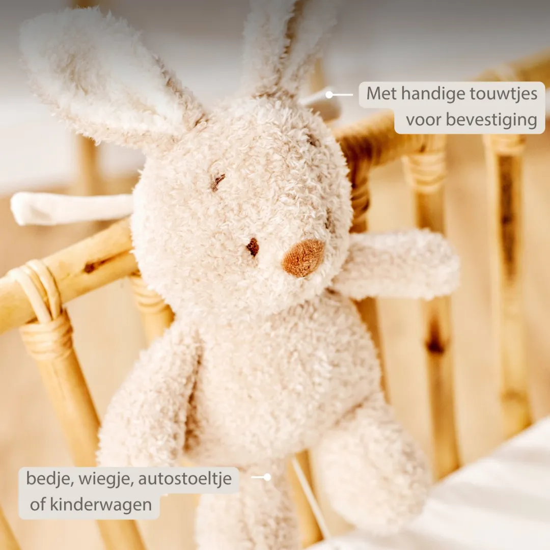 Nattou Teddy Muziekknuffel Konijn 25cm - Beige