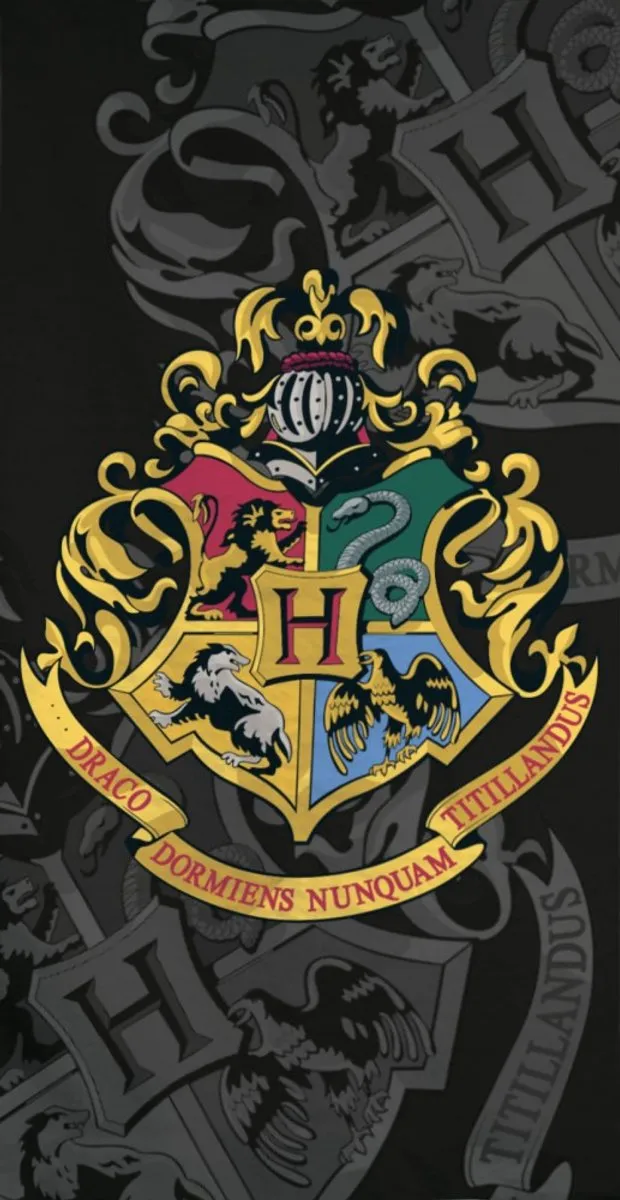 Harry Potter Strandlaken 70x140cm