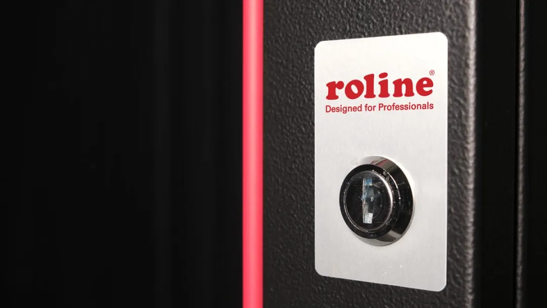 Roline 19-inch Wandbehuizing Pro 12U 600x600mm - Zwart