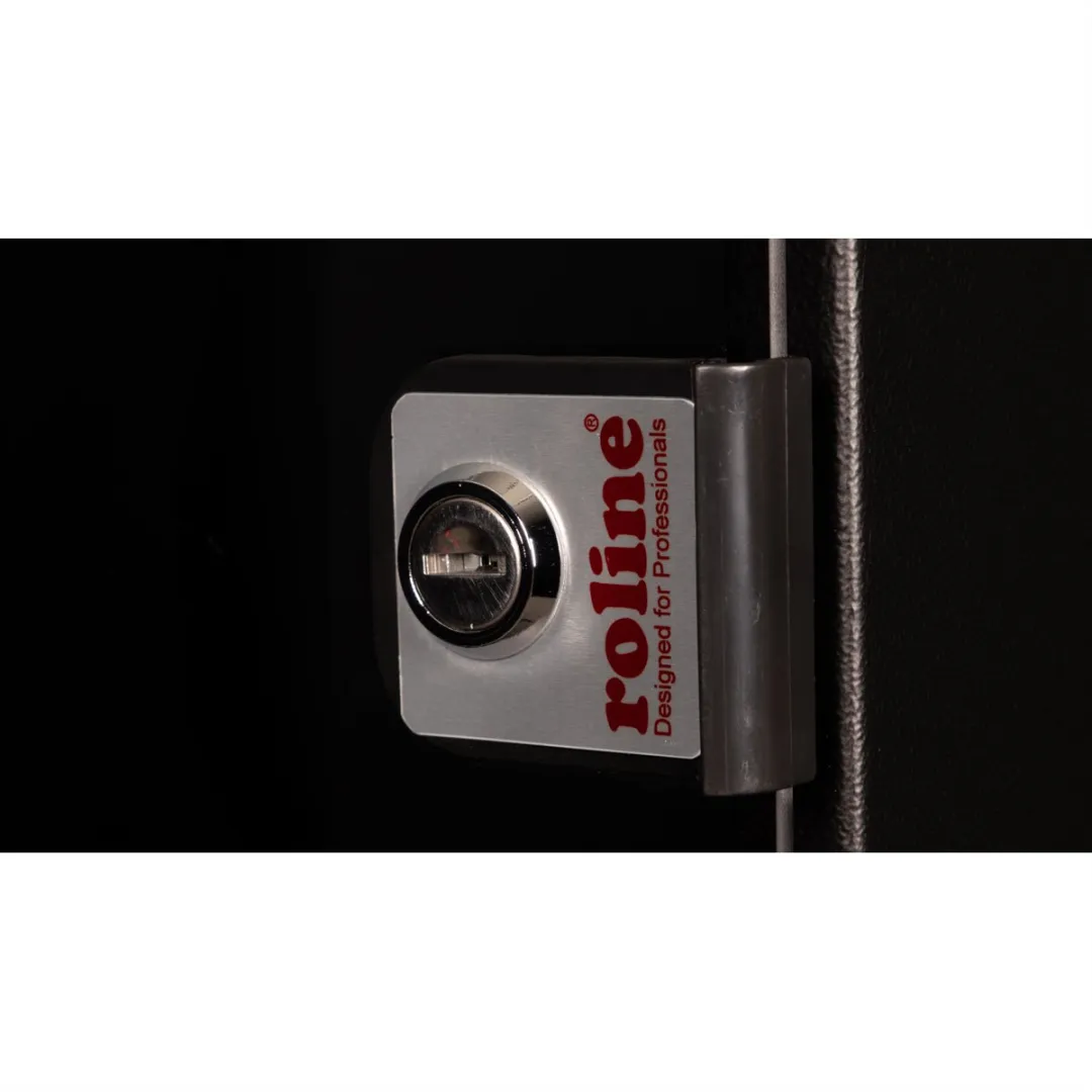 Roline 10-inch Wandbehuizing 12U - 312x300mm Zwart