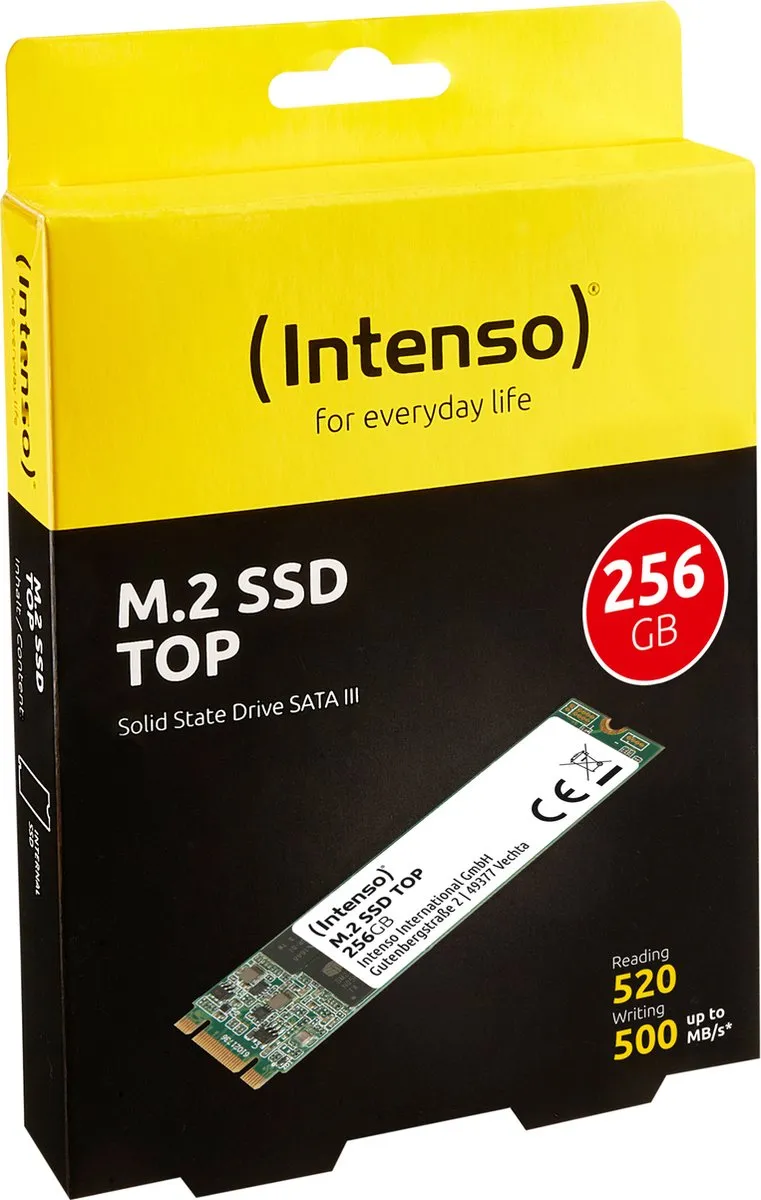 Intenso M.2 SSD SATA III 256GB 3832440