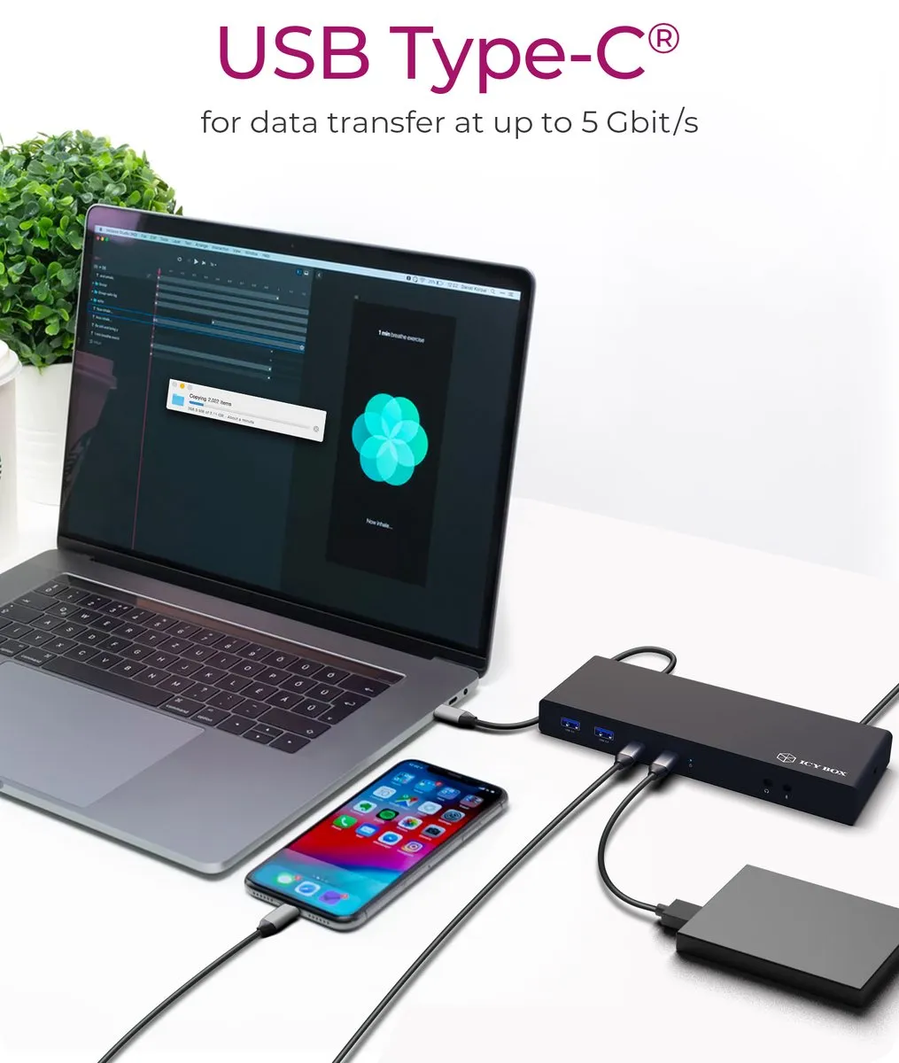Icy Box IB-DK2245AC USB 3.2 Gen 1 Type-C Dock - Zwart