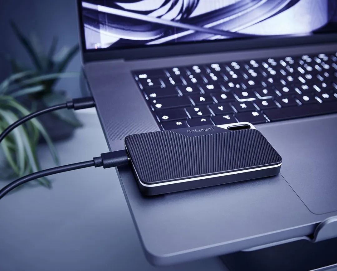 Intenso TX100 External SSD 1TB - Zwart