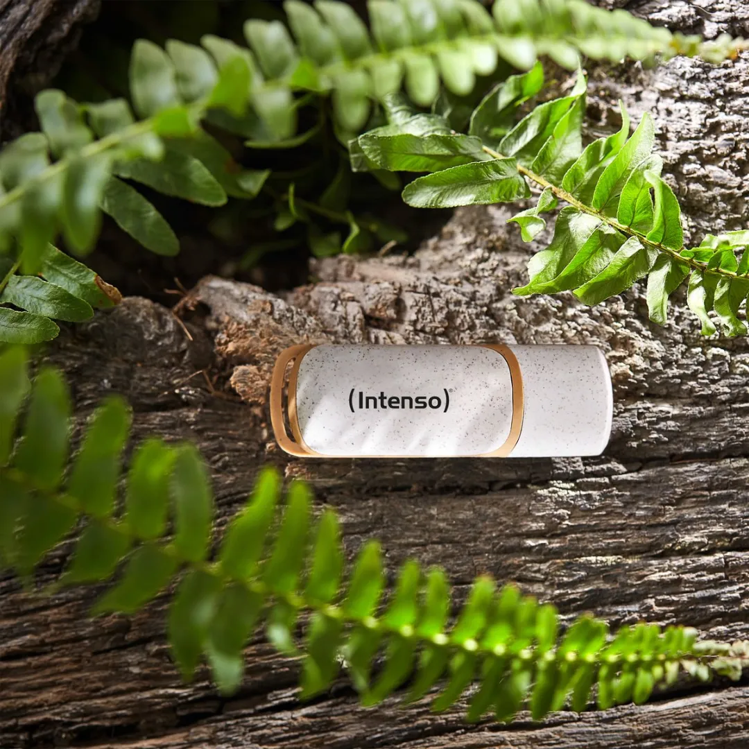 (Intenso) Green Line USB-stick - 64GB - USB 3.2 - 70MB/s - 100% biologisch afbreekbare behuizing