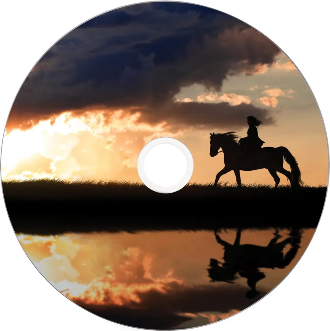 Verbatim 43667 DVD+R Double Layer 8.5GB - 25 Stuks