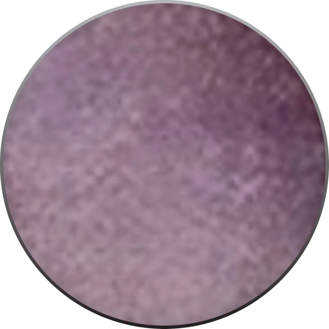 Bourjois New Round Pot Oogschaduw 13 Prune Paillettes - 1.5g