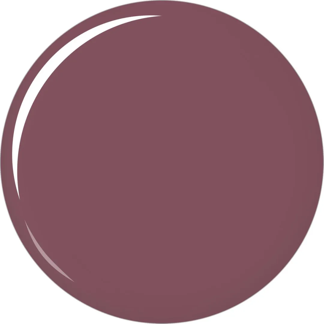 Maybelline Satin Collection Lipstick 240 Silver Plum - 4g