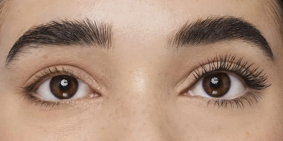 L'Oréal Paris Telescopic Lift Mascara 9,9ml - Zwart