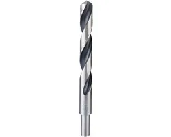 Bosch HSS PuntTeQ DIN 338 Boor