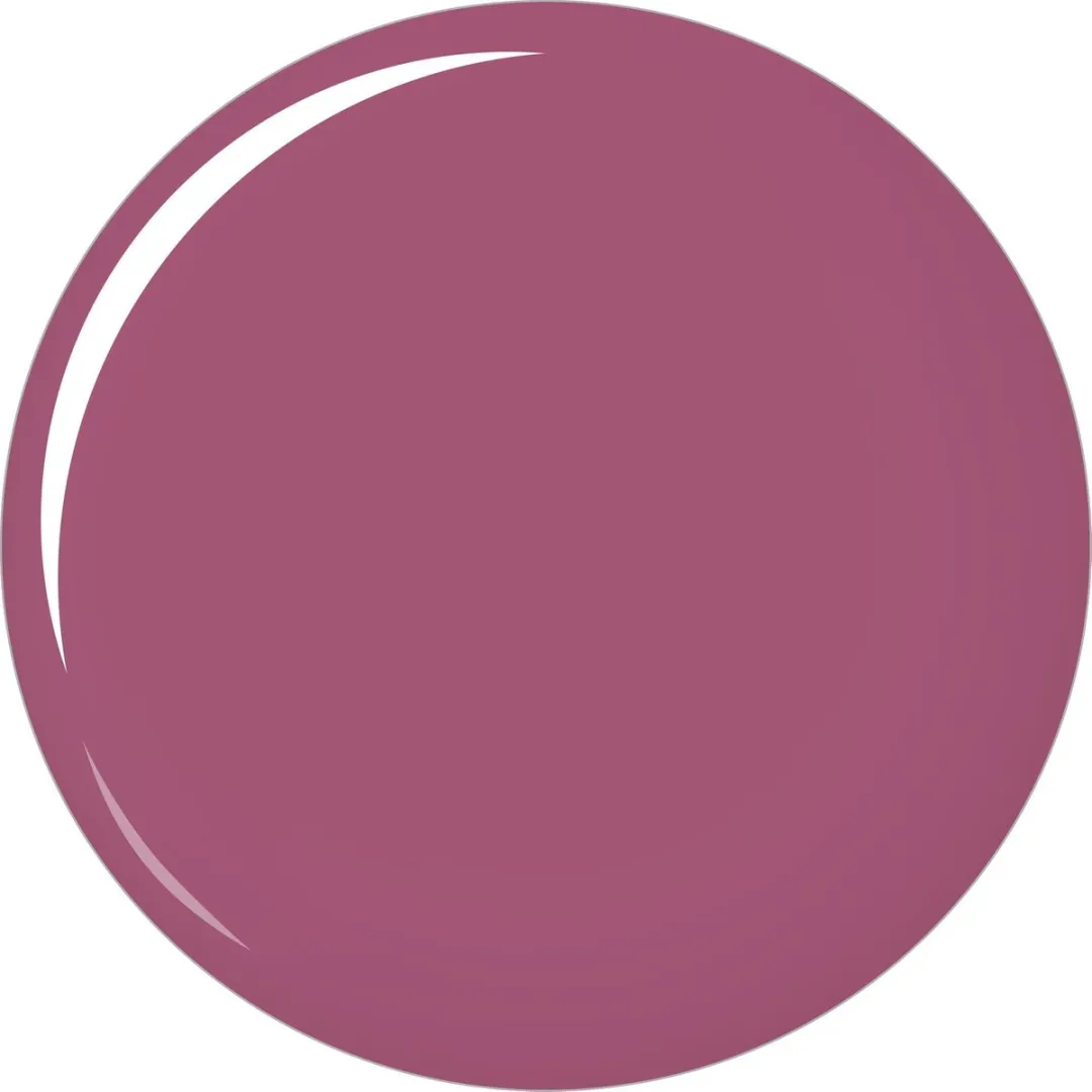 L'Oréal Paris Color Riche Matte Lippenstift 472 Purple Studs