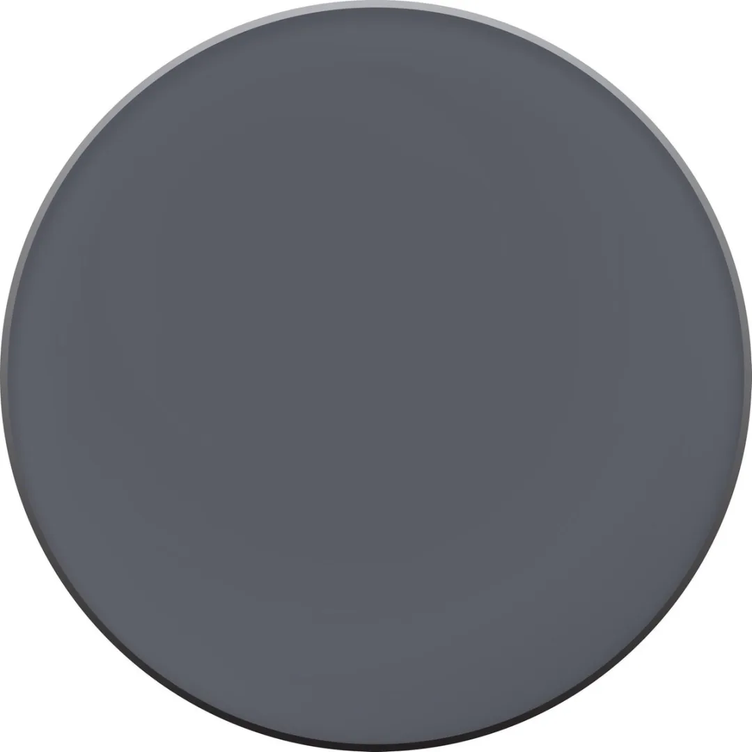 L'Oréal Paris Infallible Eye Paint 203 Iconic Silver - Oogschaduw 15g